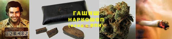 гидропоника Пересвет