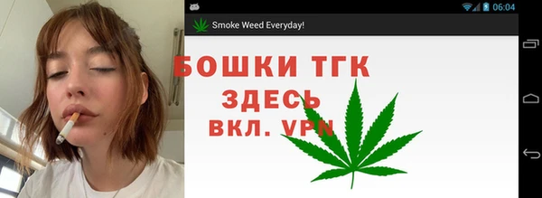гидропоника Пересвет