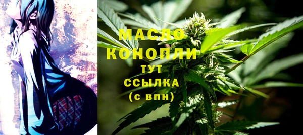 гидропоника Пересвет