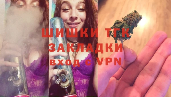 гидропоника Пересвет