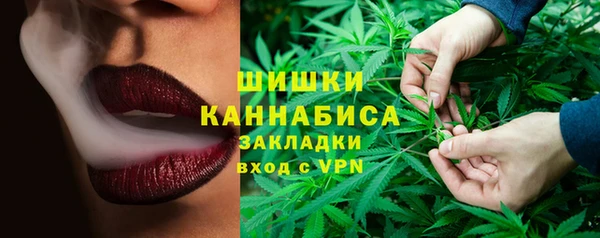 гидропоника Пересвет